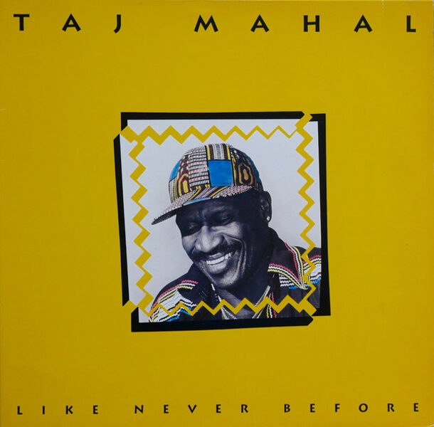 Taj Mahal – Like Never Before